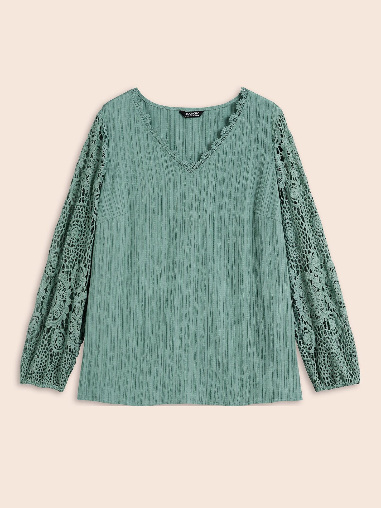 Scalloped Lace Textured Sheer Sleeve Blouse