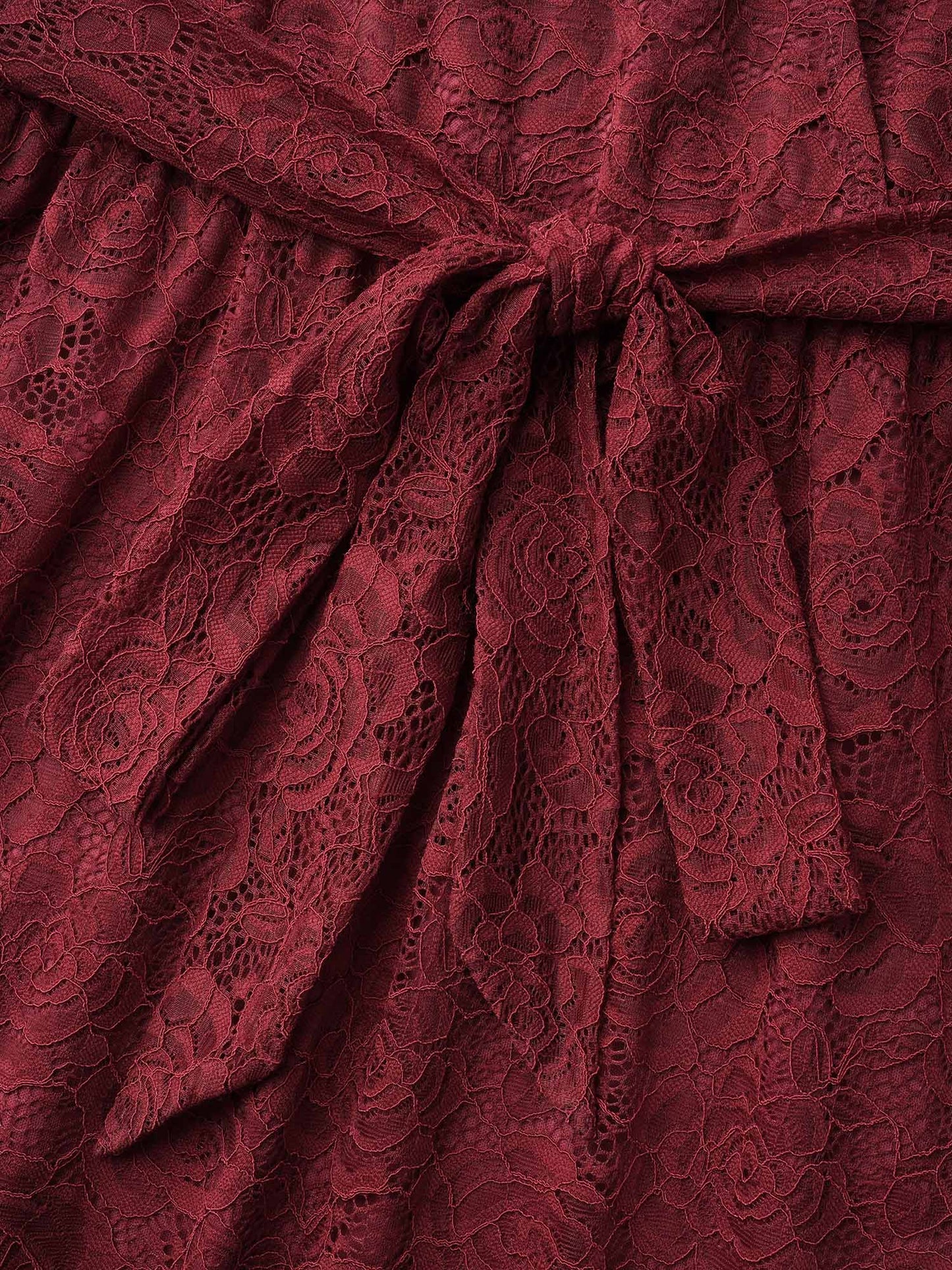 Crochet Lace Mesh Surplice Neck Belted Dress