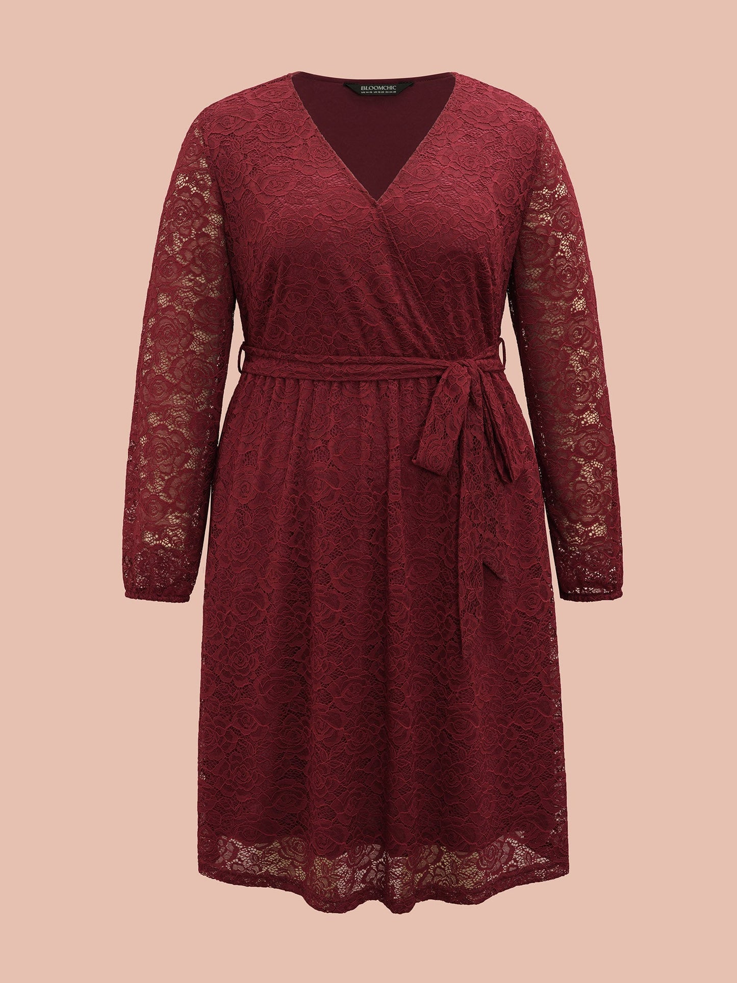 Crochet Lace Mesh Surplice Neck Belted Dress