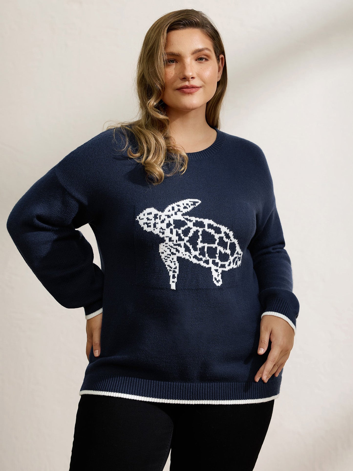 Turtle Motif Slit Contrast Edge Pullover