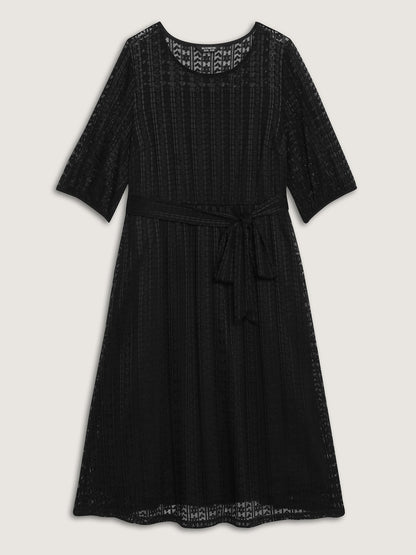 Lace Trim Sheer Stretchy Waist Midi Dress