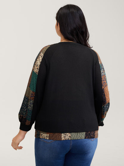 Textured Lace Trim Contrast Sleeve Sweatshirt