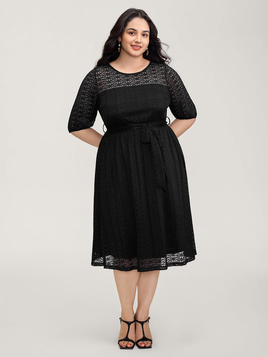Lace Trim Sheer Stretchy Waist Midi Dress