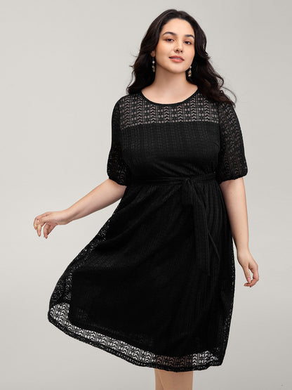 Lace Trim Sheer Stretchy Waist Midi Dress