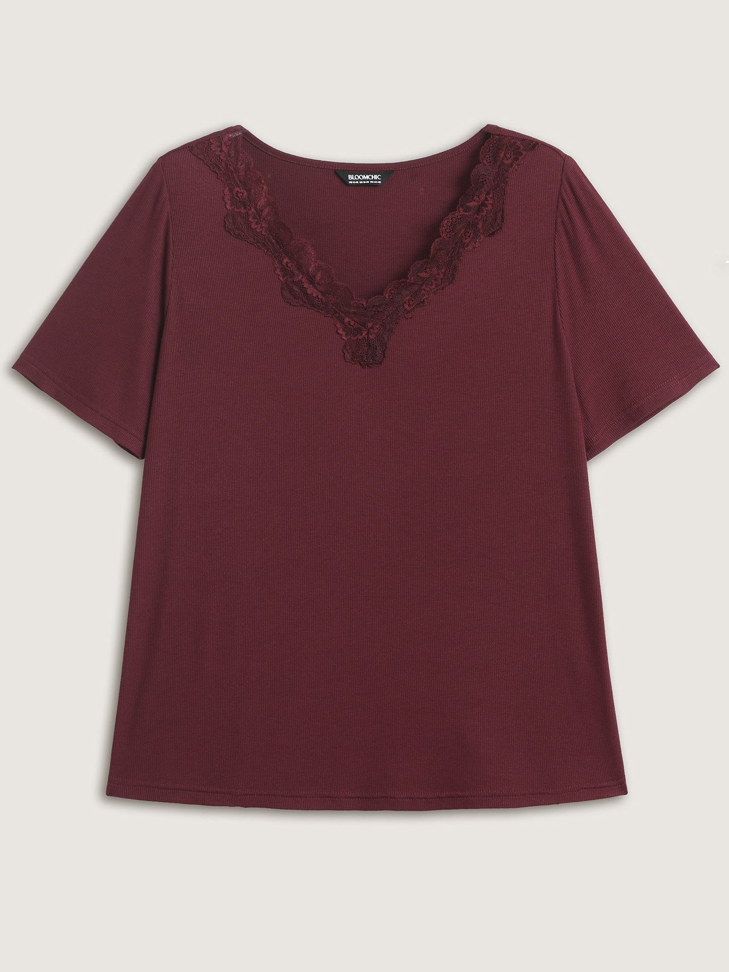 Lace V-Neck Fitted T-Shirt