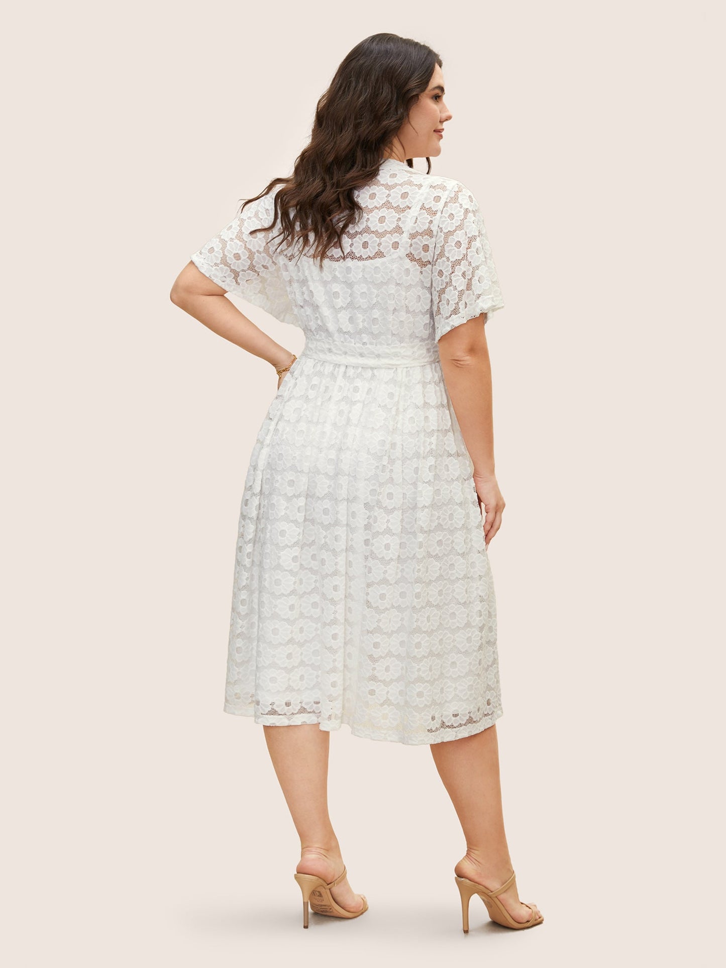 Crochet Lace Mesh Belted Midi Dress
